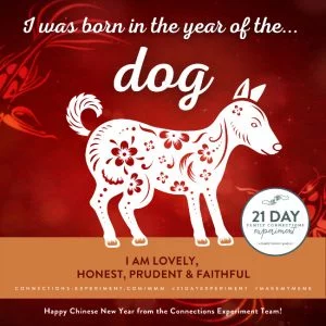 MMChineseNewYearDog