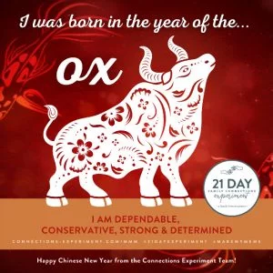 MMChineseNewYearOx