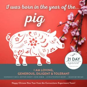 MMChineseNewYearPig