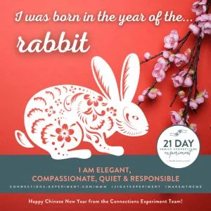 MMChineseNewYearRabbit